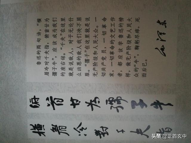 老曾在海外生活，老曾在海外生活的电影