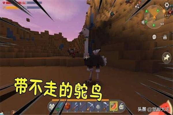 驼鸟肉怎么炖给宝宝吃(图8)
