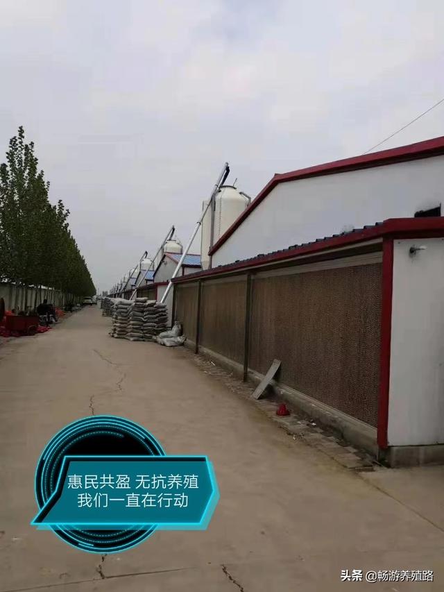 30种菜的做法大全视频(图9)