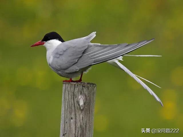 南极越冬队完成任务了吗