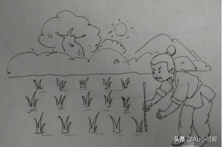 绿化种植图案 树木怎么画