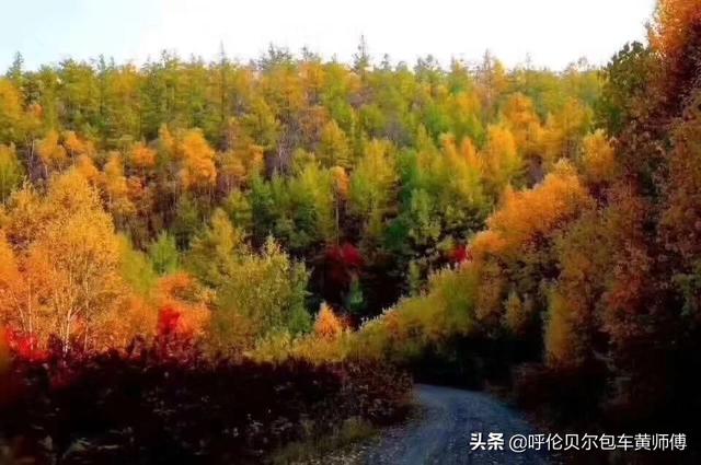 呼伦贝尔市海拉尔区纸飞机账号购买建议