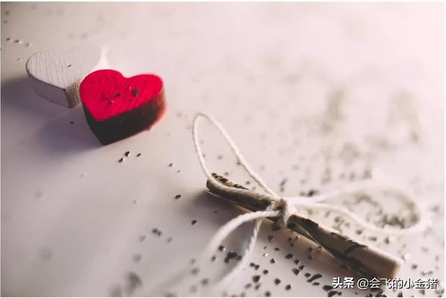真正的格桑花图片（真正的格桑花头像）