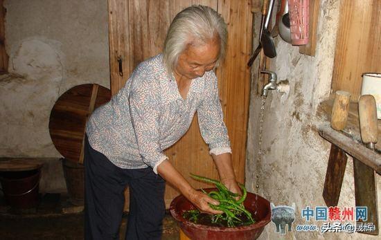 城乡基本医疗保险对策建议，城乡基本医疗保险对策建议意见