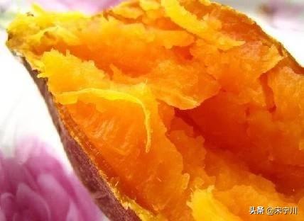 海外生活种茄子，在国外茄子的隐含意思