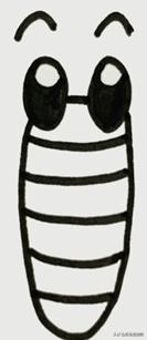 昆虫简笔画（昆虫简笔画100个）
