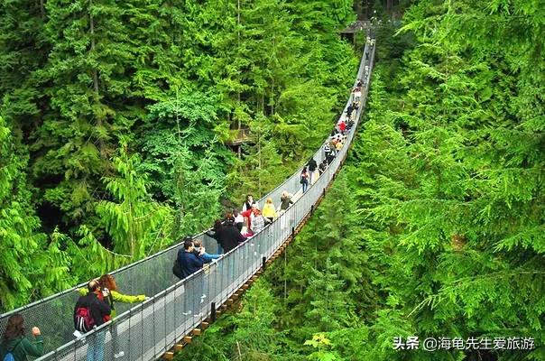 在外地旅游如何防止被骗