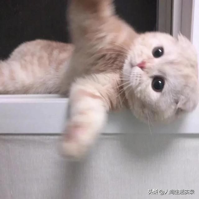 经典名言名句大全（鲁迅说过的经典名言名句大全）