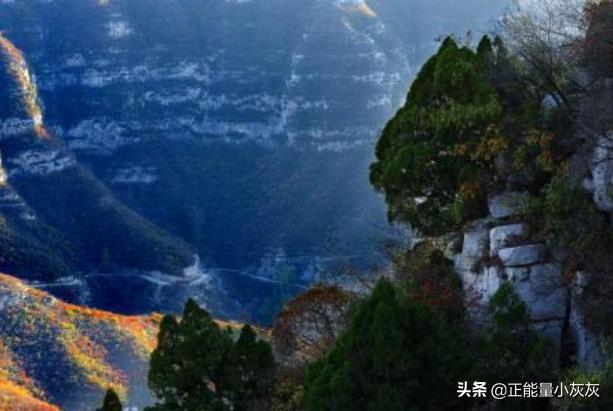 河南焦作都有哪些县？