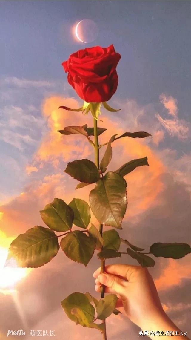 幼儿故事音频在线听免费（幼儿故事录音在线）