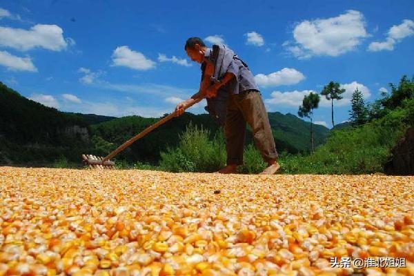 于都县新农合大病医疗保险报销比例_农民一年辛苦挣的钱都花到哪里去了？
