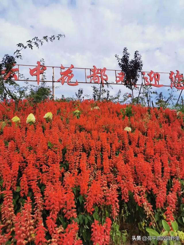 石柱周边旅游，石柱周边旅游景点有哪些