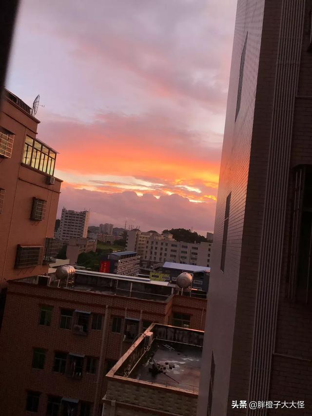 女人情商高就是会说话(图1)