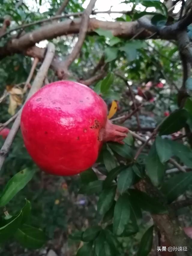 [图片修复]不想要的照片怎么处理最好？