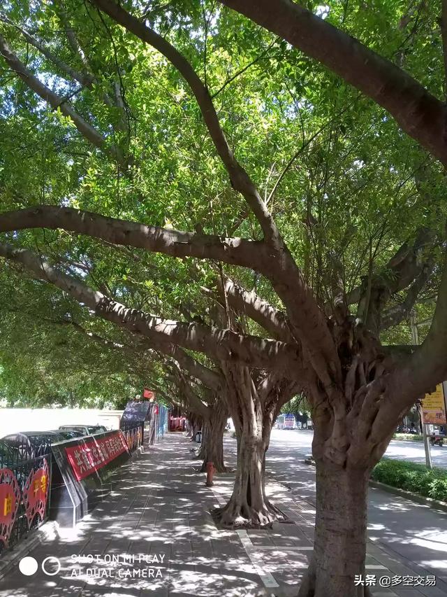 快手里说的盘她是什么意思？盘哥盘姐是什么意思？