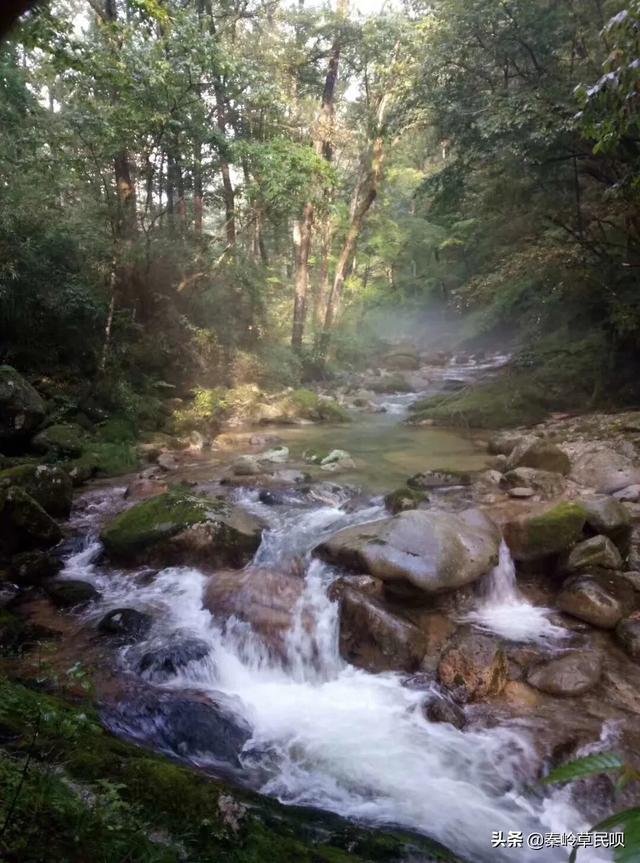 佛坪周边旅游景点大全， 佛坪周边旅游景点大全图片