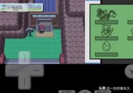 口袋妖怪白金光图文攻略 口袋妖怪白金光图文攻略口袋妖怪白金光剑舞在哪儿学-第2张图片-Game优搜