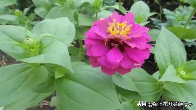 [女烈受刑]心里过不去的坎，该如何解脱？