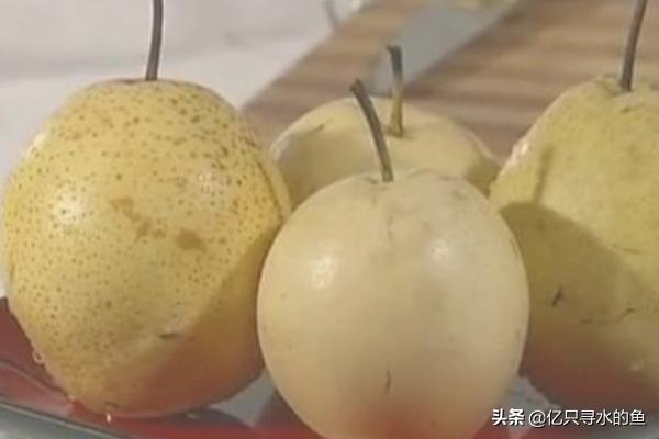 水果罐头-水果罐头的制作方法
