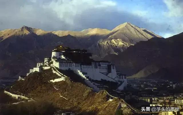 浙江省温州市文成县纸飞机账号购买经验