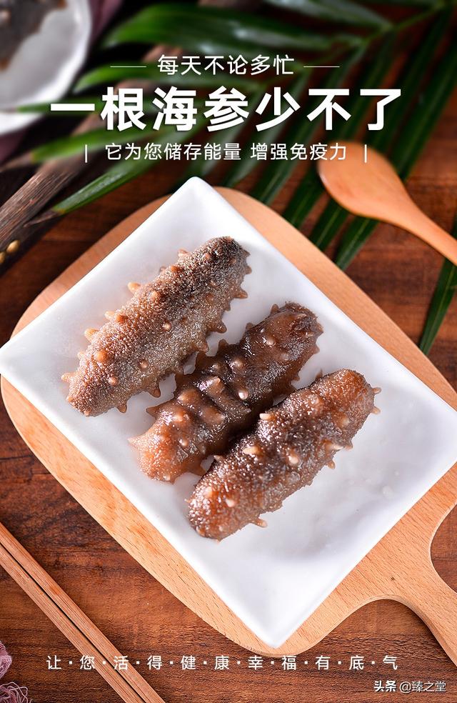 海参有什么特点和功效(图6)