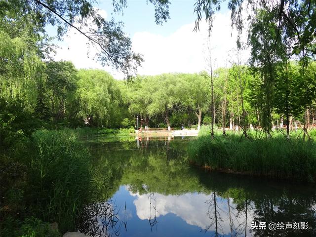 济南市里公园哪个好玩儿