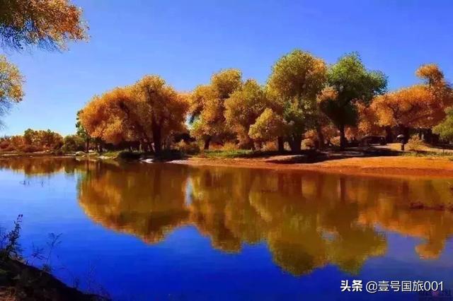 榆林市靖边县纸飞机账号购买服务