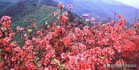 泰顺至永州高铁路线，泰顺至永州高铁路线图