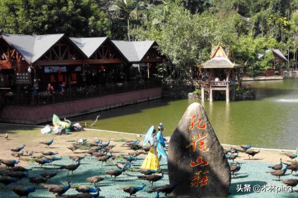 景洪市区旅游景点大全， 景洪市区旅游景点大全图片