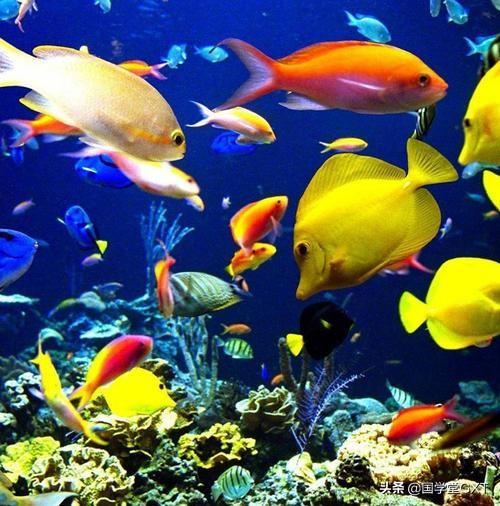 两个世界2ps3 两个世界2好玩吗-第6张图片-随然AIR主题