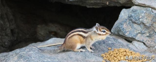面粉加工机器怎么保养(图1)