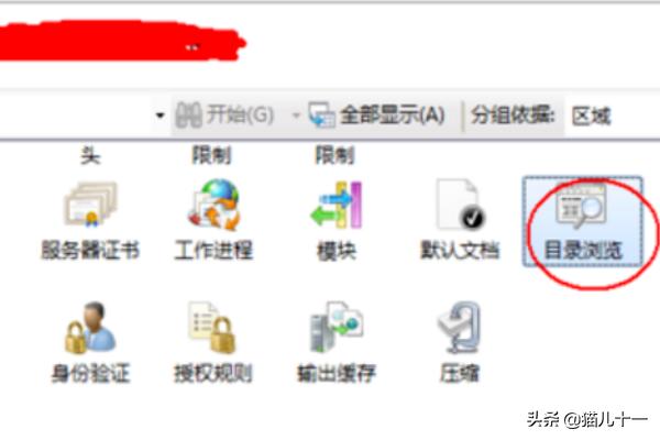 搭建网站403什么意思