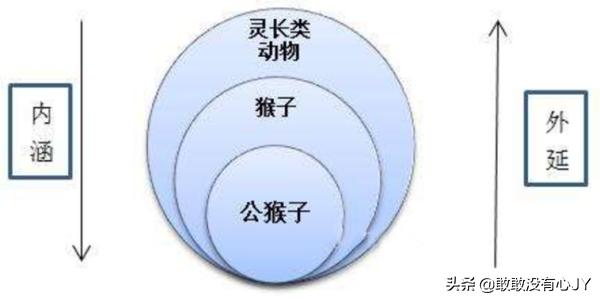 什么是内涵(什么是内涵?)
