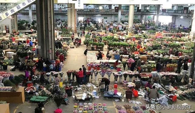 昆明今日花价格查询（昆明鲜花价格上涨）