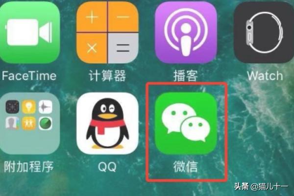 app开发苹果