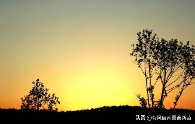 20首超短的现代诗_20首超短的现代诗植物