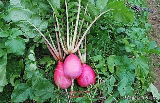 家里安装空气能热水器，热水要打开约一分钟才有，同时用水，热水水流会很小，请问解决办法？：大时间