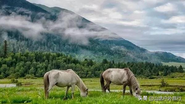 雨季旅游景点大全， 雨季旅游景点大全图片