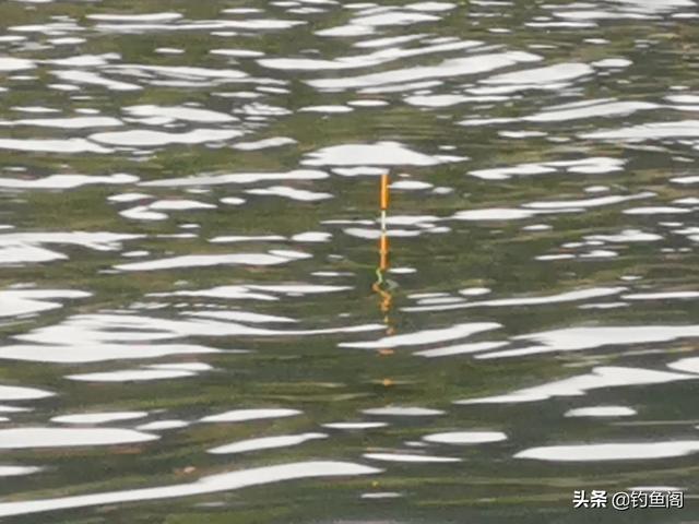 草鱼玉米如何搭配做馅儿