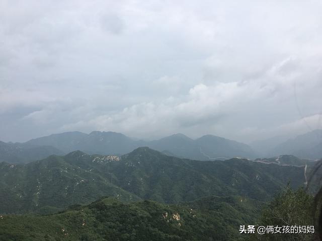 什么动物对人类更友好,第17张