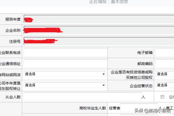国家企业年审营业执照，国家企业年审营业执照官网