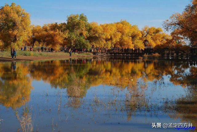 额济纳胡杨林最佳观赏时间（额济纳旗旅游最佳时间是什么时候？）