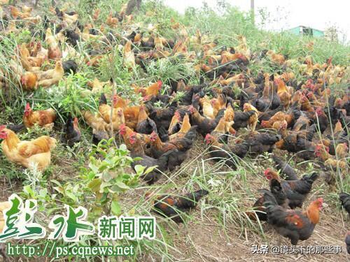 榆树特色美食（长春有什么特产？）