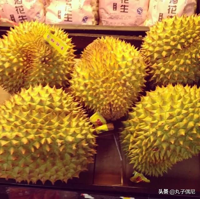榴莲咬开来是什么样的_熊出没里的榴莲的威力？
