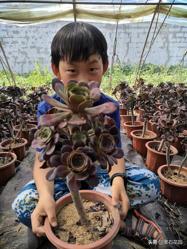 大连暑假旅游穿搭， 大连旅游穿衣指南有哪些?