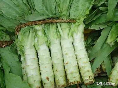 炒莴笋-炒莴笋用焯水吗