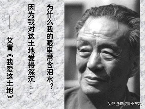 艾青的简介（艾青的简介资料）