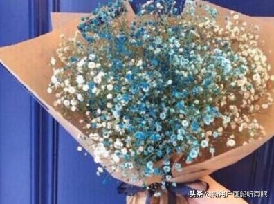 满天星适合送什么人