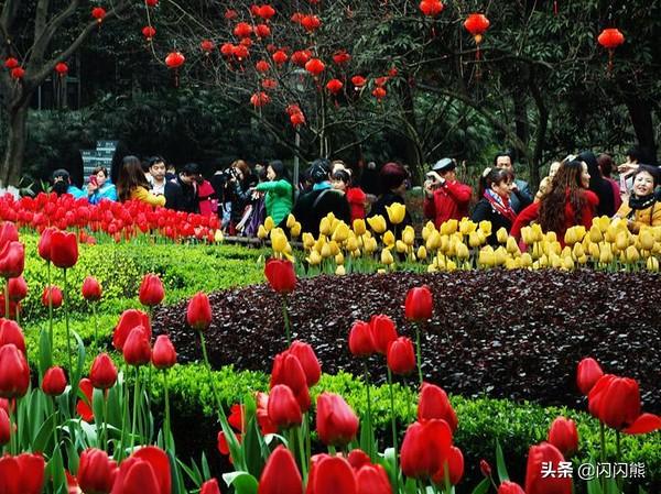 重庆夏天情侣游玩地方重庆夏天情侣游玩地方推荐