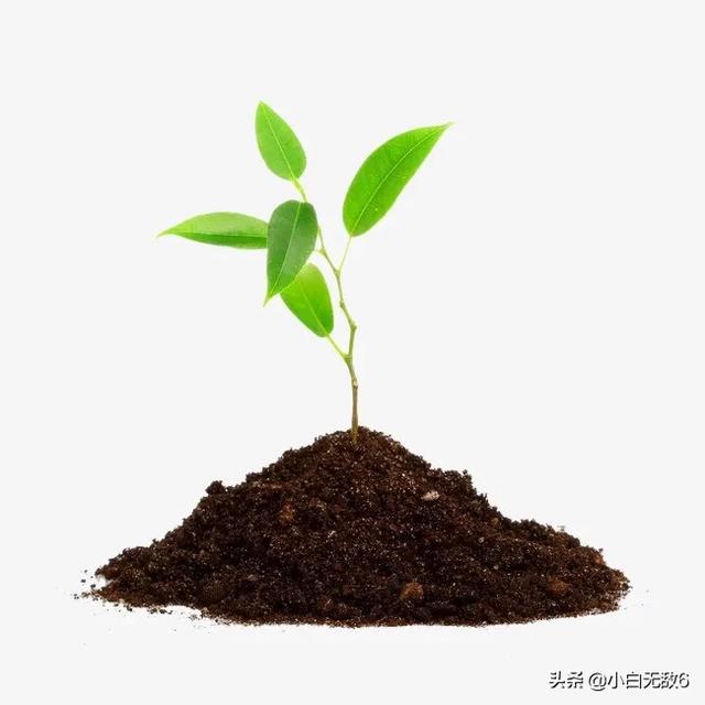 土壤中多环芳烃的提取有哪些方法？土壤多环芳烃检测方法？